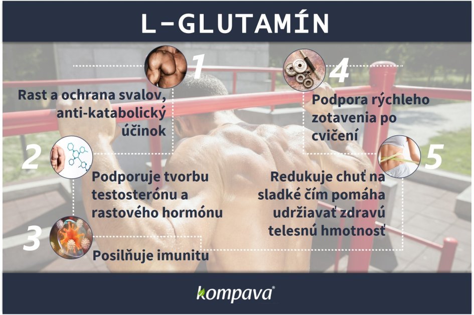 Účinky L-glutamínu na ľudský organizmus