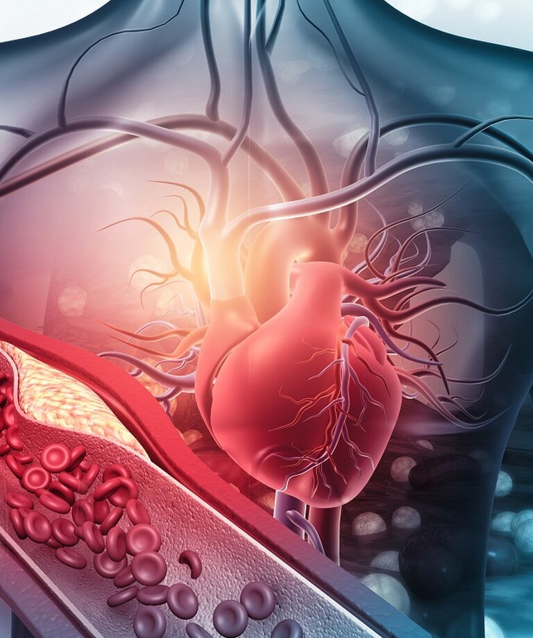 Ako očkovanie ovplyvňuje kardiovaskulárny systém?