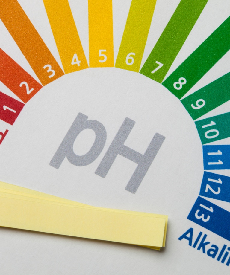 Acidofit ako ochrana pred prekyslením v období diéty pri zvýšenom príjme bielkovín