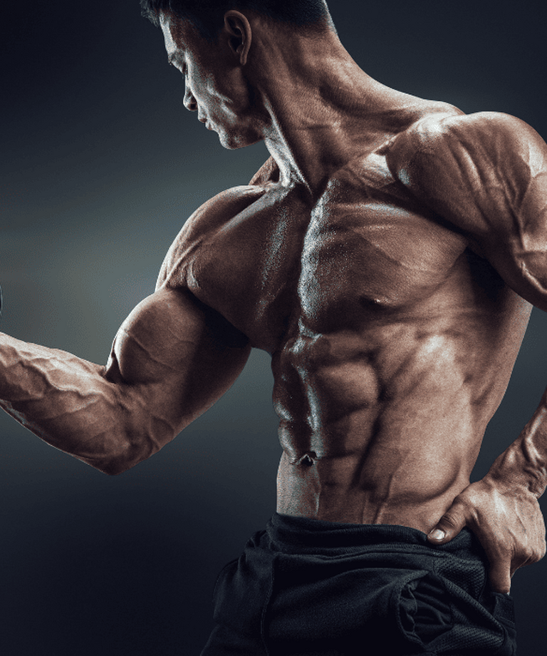 Anabolizmus/Katabolizmus - dôležité procesy v tele pri cvičení