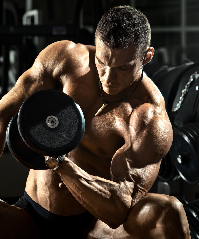 ATP z kreatínu - sila vo svaloch