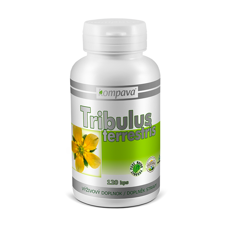 tribulus2